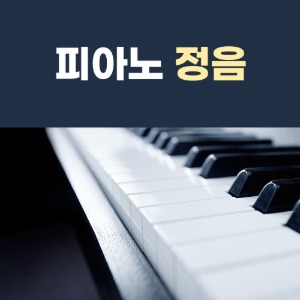 피아노 정음 영창 삼익 야마하 그랜드 피아노